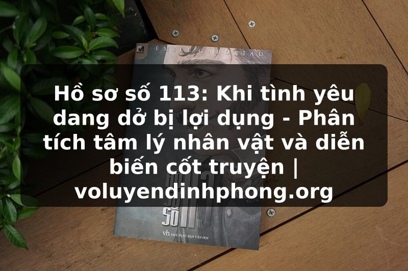 Hồ sơ số 113: Khi tình yêu dang dở bị lợi dụng - Phân tích tâm lý nhân vật và diễn biến cốt truyện | voluyendinhphong.org