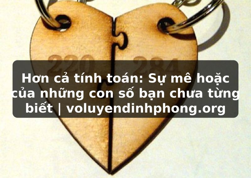 Hơn cả tính toán: Sự mê hoặc của những con số bạn chưa từng biết | voluyendinhphong.org