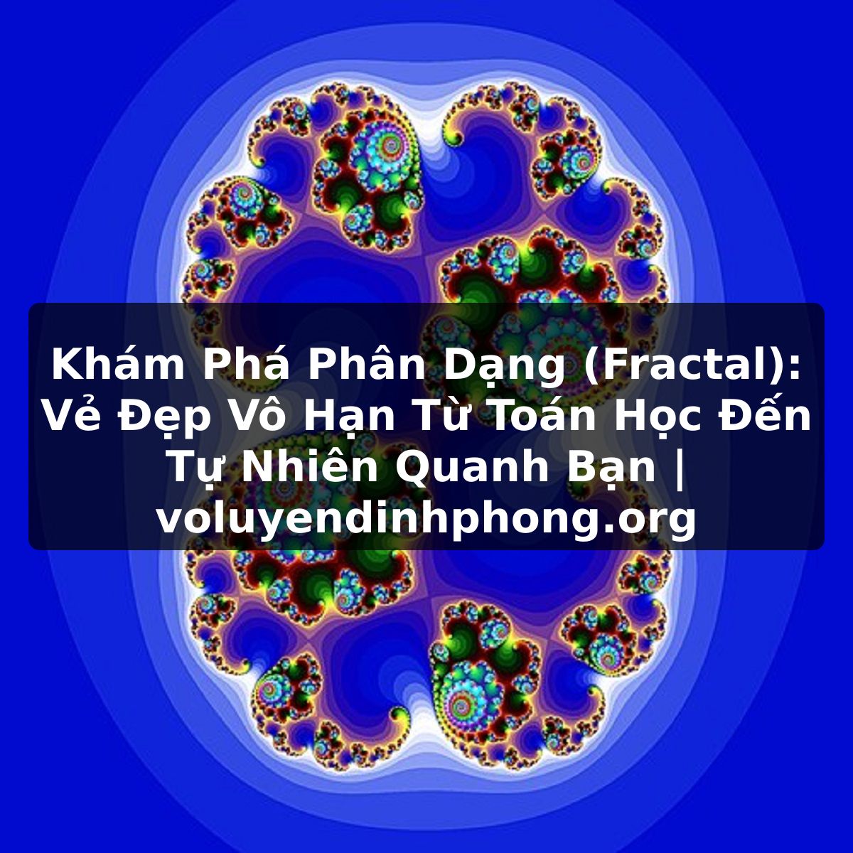 Khám Phá Phân Dạng (Fractal): Vẻ Đẹp Vô Hạn Từ Toán Học Đến Tự Nhiên Quanh Bạn | voluyendinhphong.org